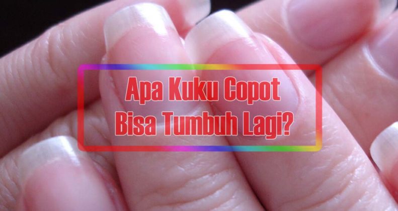 Apakahkukucopotbisatumbuhlagi - SEON Digital Marketing