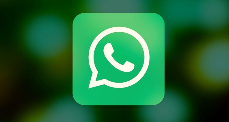 Whatsapp Api Chat - SEON Digital Marketing