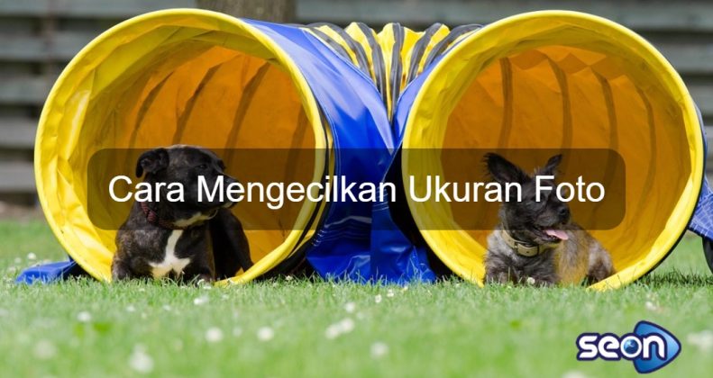 Cara Mengecilkan Ukuran Foto - SEON Digital Marketing