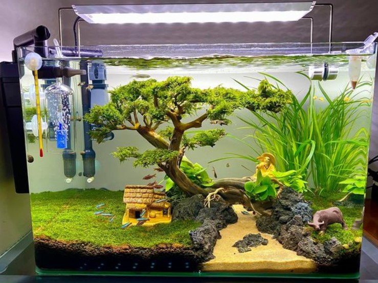 Contoh Aquascape Bonsai Cantik - SEON Digital Marketing