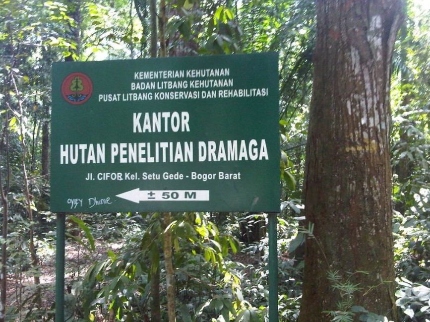 Hutan Cifor Bogor - SEON Digital Marketing