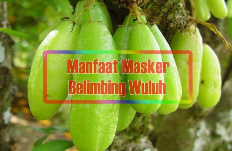 Manfaat Belimbing Wuluh Untuk Wajah - SEON Digital Marketing