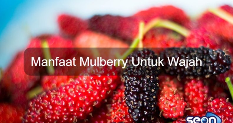 Manfaat Mulberry Untuk Wajah - SEON Digital Marketing