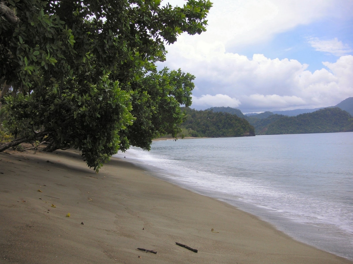 Pantai Amai Papua - SEON Digital Marketing